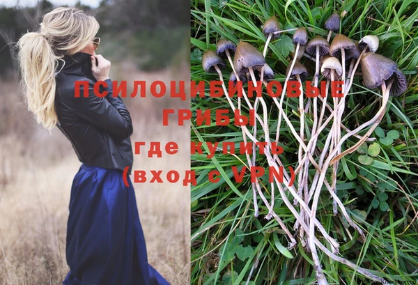 ПСИЛОЦИБИНОВЫЕ ГРИБЫ Армянск