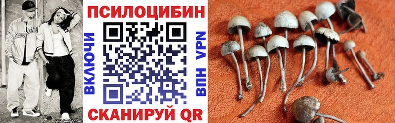 Псилоцибиновые грибы ЛСД  ОМГ ОМГ ссылки  Суджа 